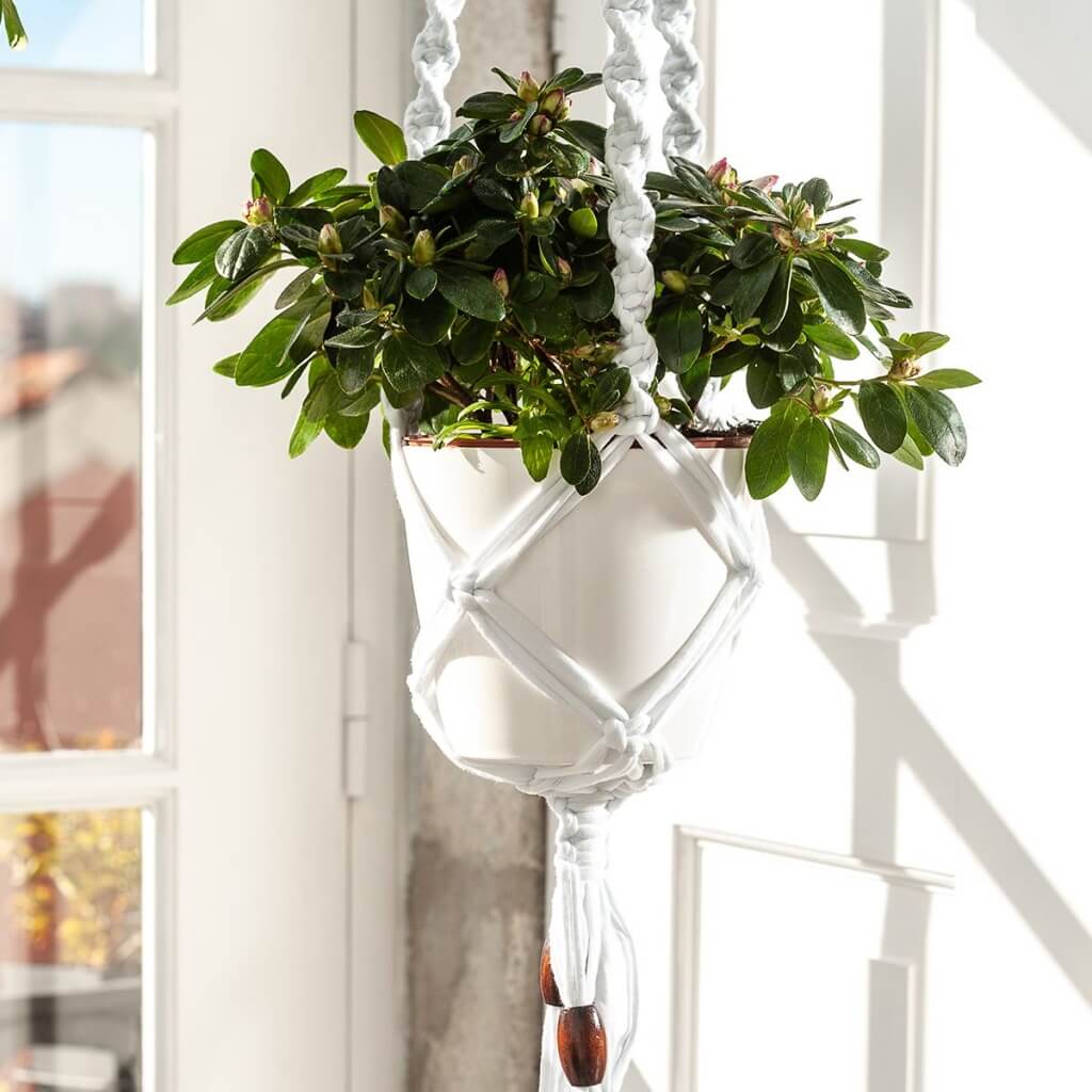 Hoooked Blumenampel Set kaufen ▷ lieblingsgarn
